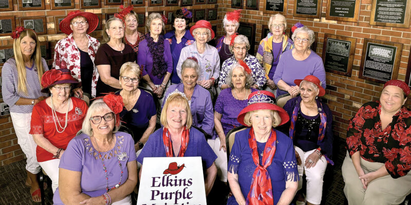 Elkins Purple Majesties gather for monthly meeting